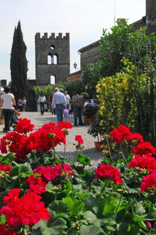 Appartamento Antica Dimora dell'Ortolano Castellaro  Esterno foto