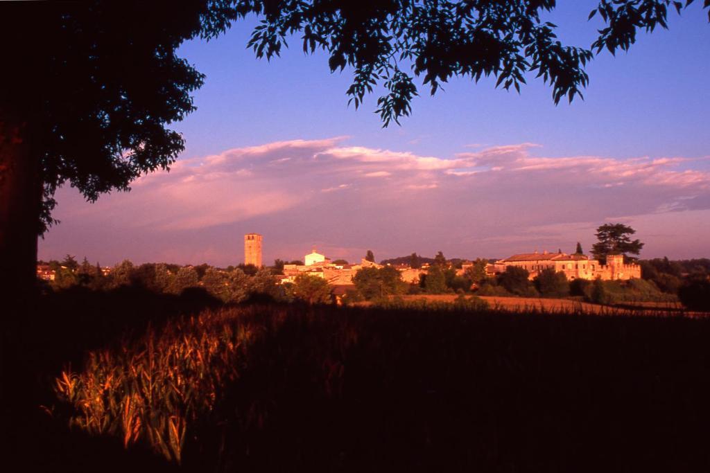 Appartamento Antica Dimora dell'Ortolano Castellaro  Esterno foto